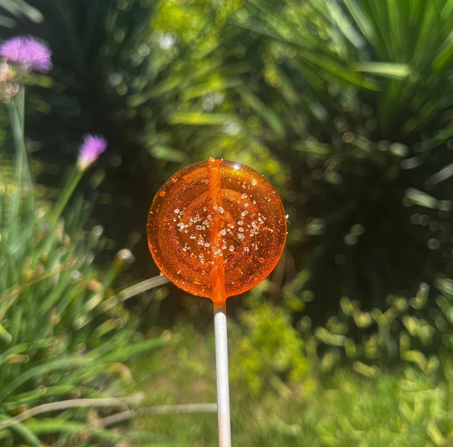 Crystal - מארז סוכריות בהתאמה אישית